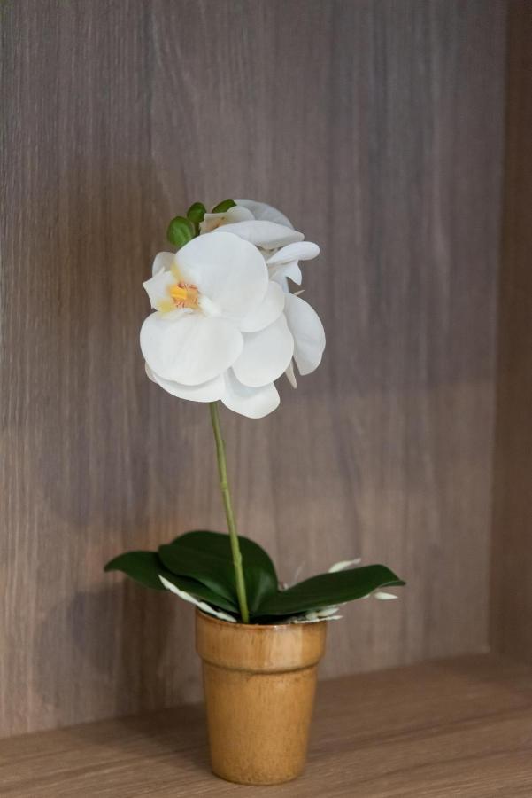 Medluxe Comfort Apartment *